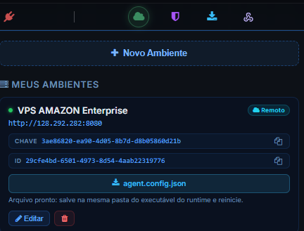 Card do ambiente com chave, ID e o botão agent.config.json